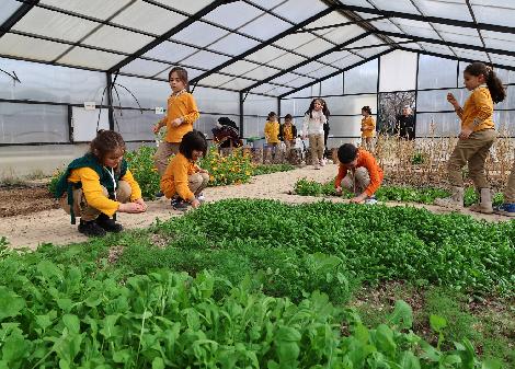 DOĞA İLE İÇ İÇE EĞİTİM